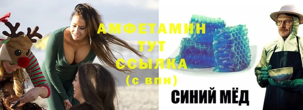 МДПВ Пересвет