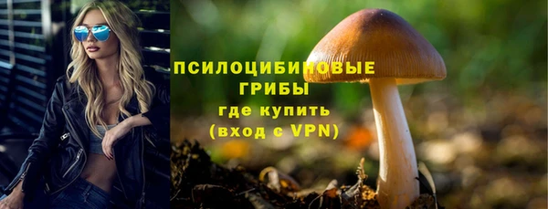 мдма Переславль-Залесский