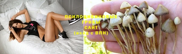 Альфа ПВП Богородицк
