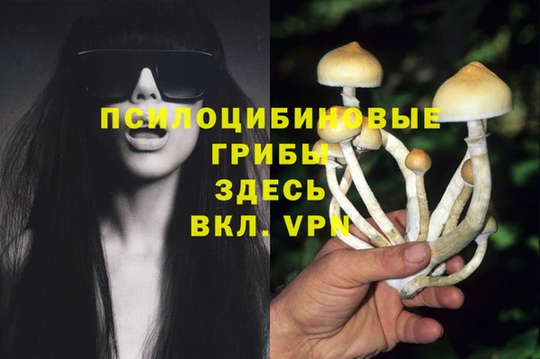 меф Богданович