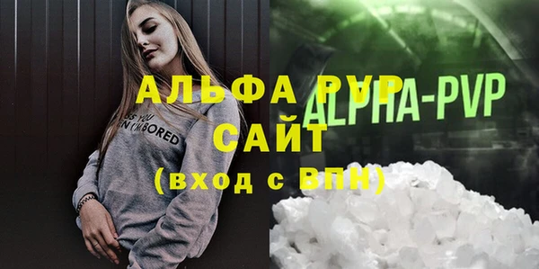 МДПВ Пересвет