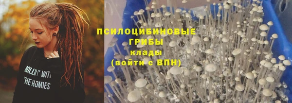 Альфа ПВП Богородицк